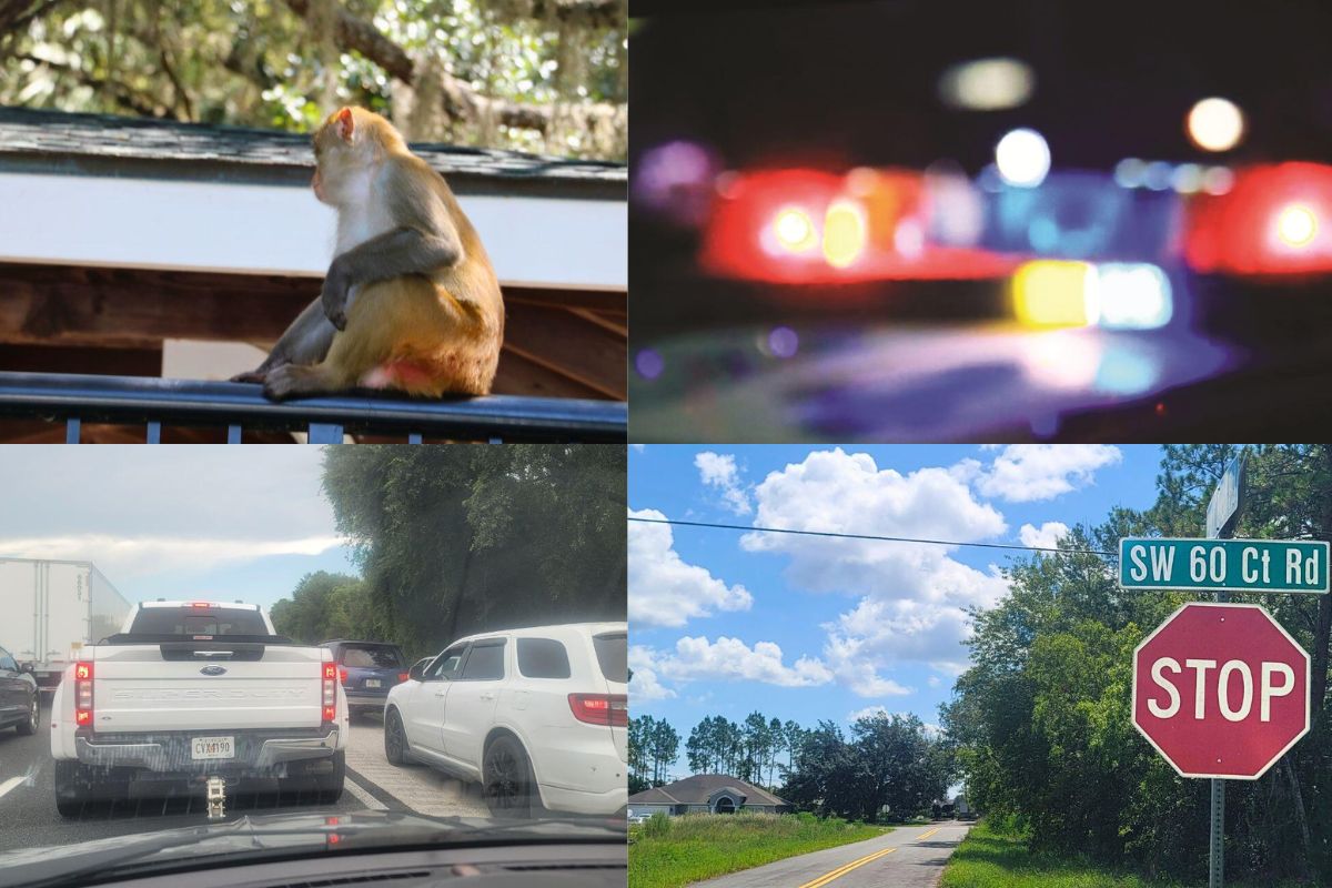 Collage of images from Ocala, 352 Today's Top stories