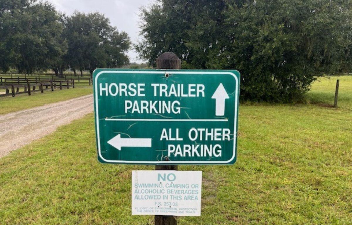 To the left a roadway, background, sky, tree line, grass, grass in near foreground, and green sign with white lettering and shapes as the focal point of the photo.