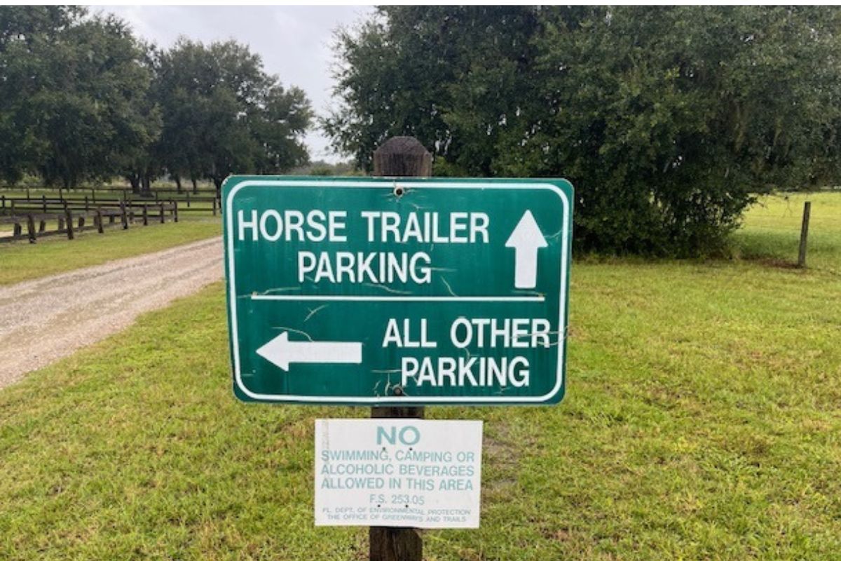 To the left a roadway, background, sky, tree line, grass, grass in near foreground, and green sign with white lettering and shapes as the focal point of the photo. 