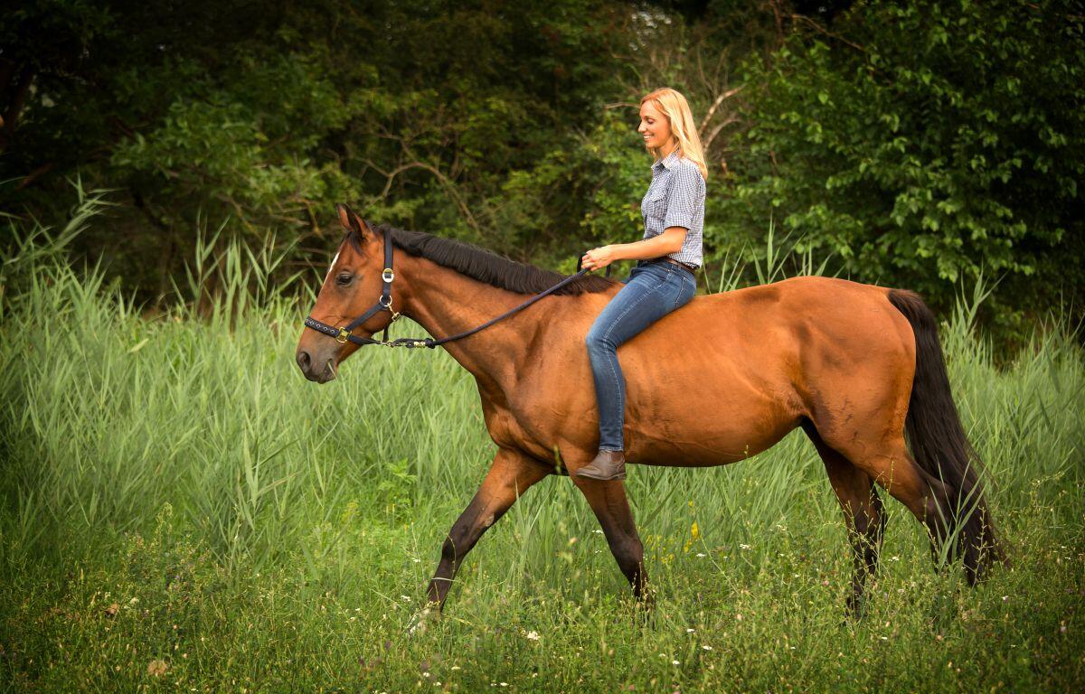 Marion County Sheriffs Department seeking owner of Bay Mare