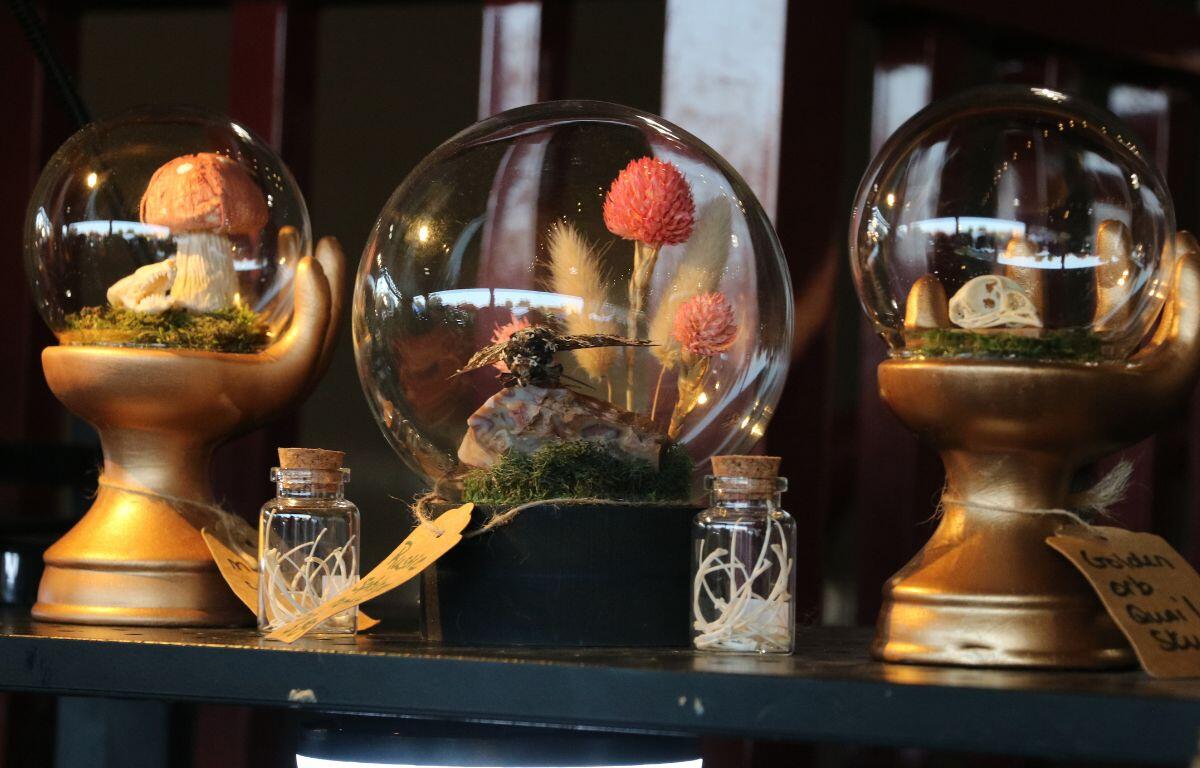 In the center, a glass orb sits atop a black pedestal with plants, a moth and moss inside for decoration. On either side are smaller orbs with larger gold stands in the shape of hands featuring quail skulls.