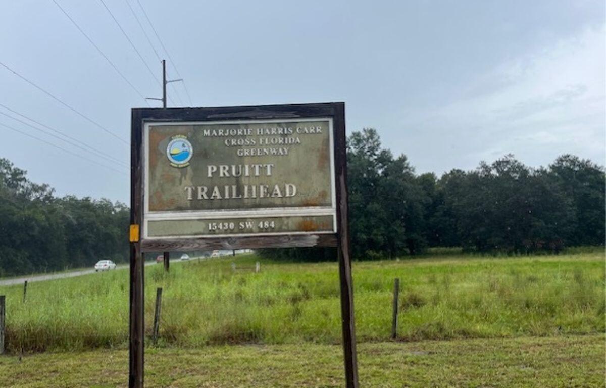 A brown sign with an insignia in the left-hand corner, that's on stilts. Grass in the foreground and background, with a tree line and sky on the background too.