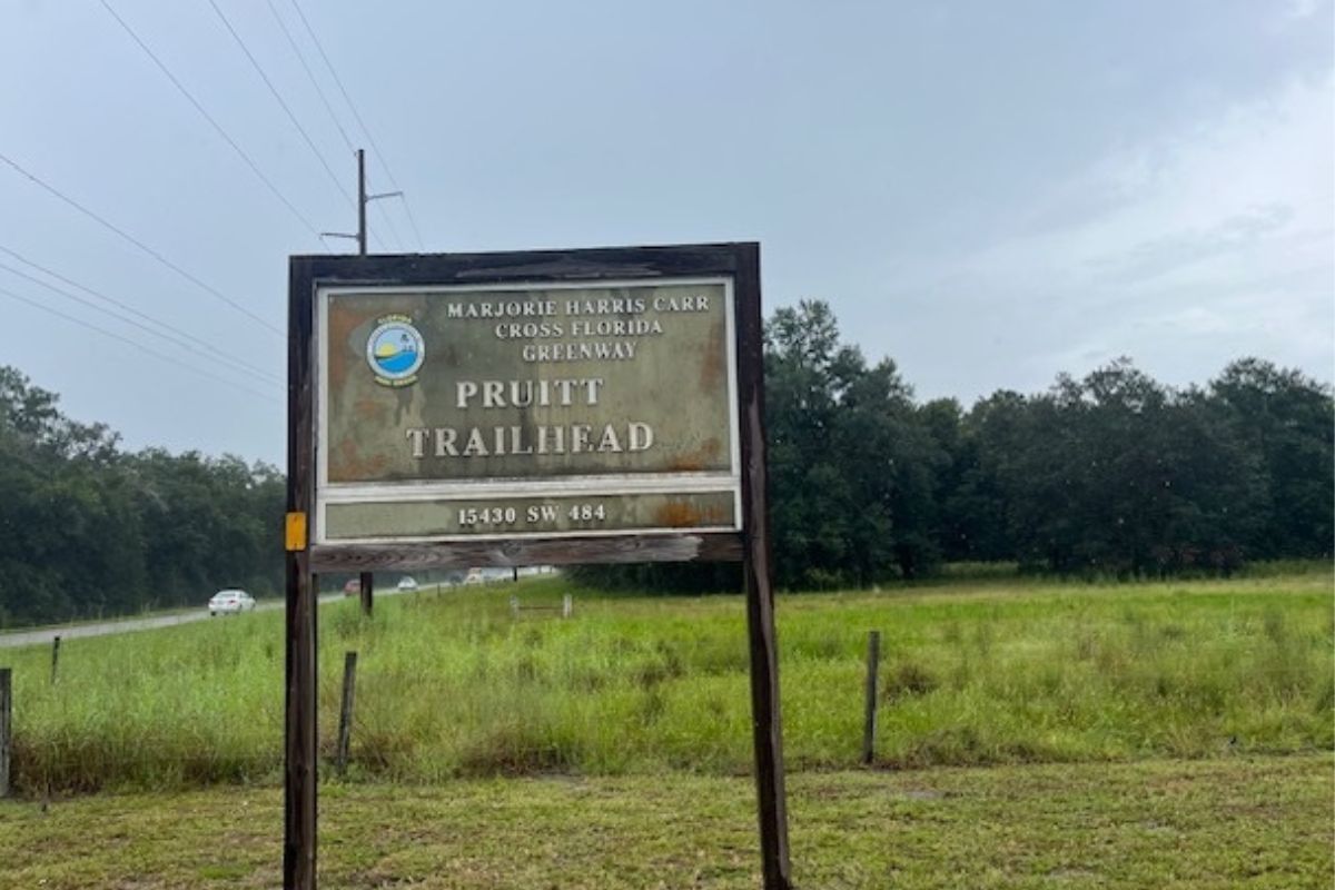 A brown sign with an insignia in the left-hand corner, that's on stilts. Grass in the foreground and background, with a tree line and sky on the background too.