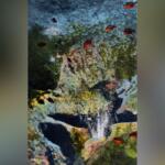 A deep spring surrounded by vegetation and sea life, throwing up white shells.