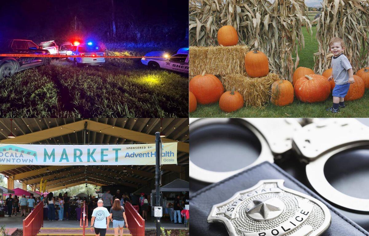 Stories you may have missed this week