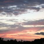 A sunset hidden behind a long, dark tree line provides the sky a final bit of light, making some clouds appear a dark pink and the sky an Amber color. Clouds further away are scattered and a cool blue and grey tone.