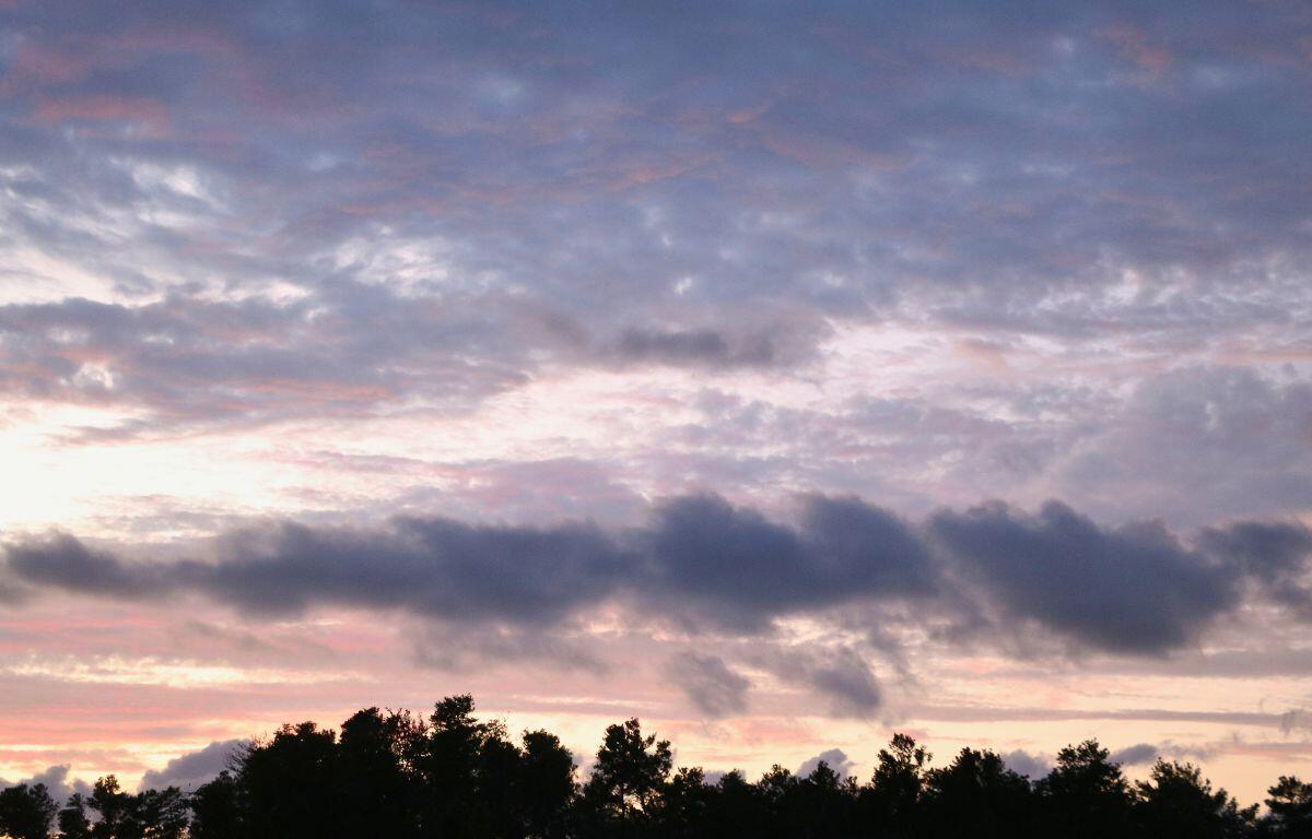 A dark tree line lies below a sky illuminated by a hidden sunset. The sky houses a large number of clouds, varying in shape, size, height and colors. Clouds further away are a cool blue and gray tone while clouds closer to the sunset are a dark pink and Amber color.