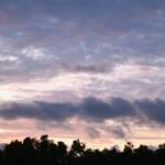 A dark tree line lies below a sky illuminated by a hidden sunset. The sky houses a large number of clouds, varying in shape, size, height and colors. Clouds further away are a cool blue and gray tone while clouds closer to the sunset are a dark pink and Amber color.