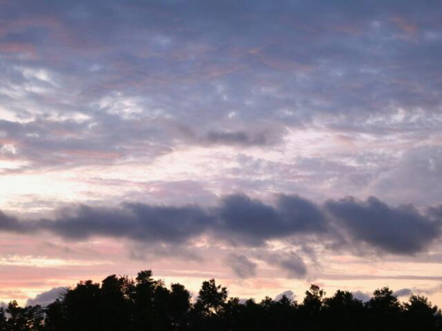 A dark tree line lies below a sky illuminated by a hidden sunset. The sky houses a large number of clouds, varying in shape, size, height and colors. Clouds further away are a cool blue and gray tone while clouds closer to the sunset are a dark pink and Amber color.