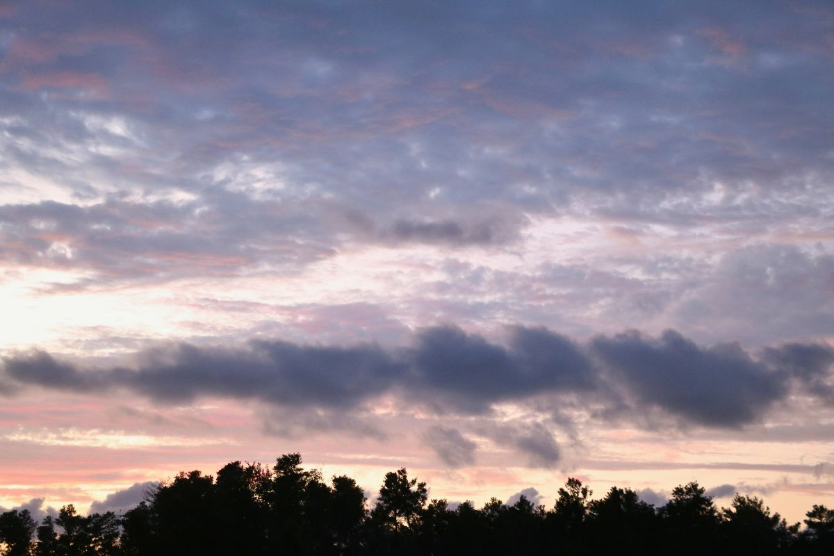 A dark tree line lies below a sky illuminated by a hidden sunset. The sky houses a large number of clouds, varying in shape, size, height and colors. Clouds further away are a cool blue and gray tone while clouds closer to the sunset are a dark pink and Amber color.