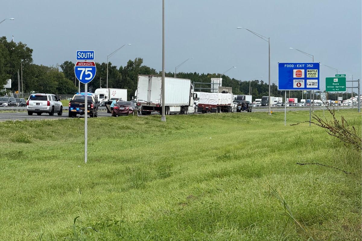 On the left road surface, grass, road sign, in the background vehicles and to the right another road sign.