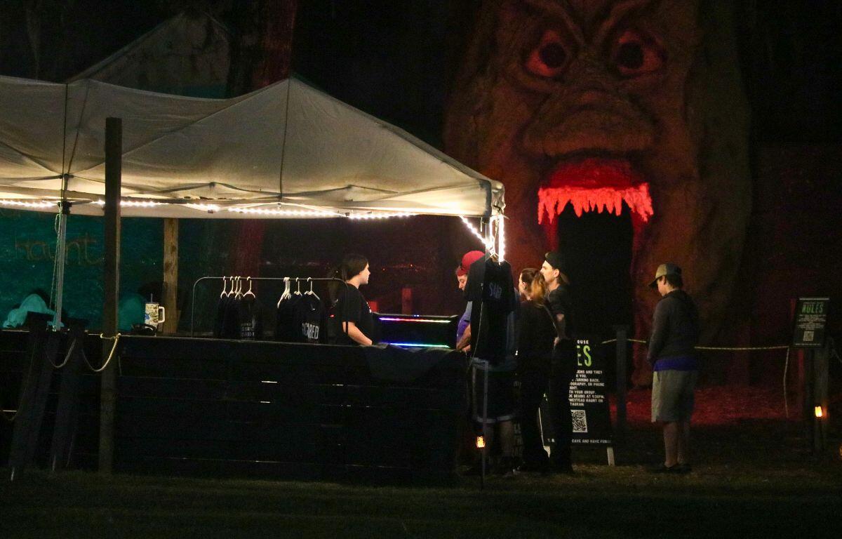 A canopy with a wooden blockade in surrounding it stands in front of a large alien head facade. A woman stands under the canopy doing a transaction with customers. The area is dark providing a creepy atmosphere.