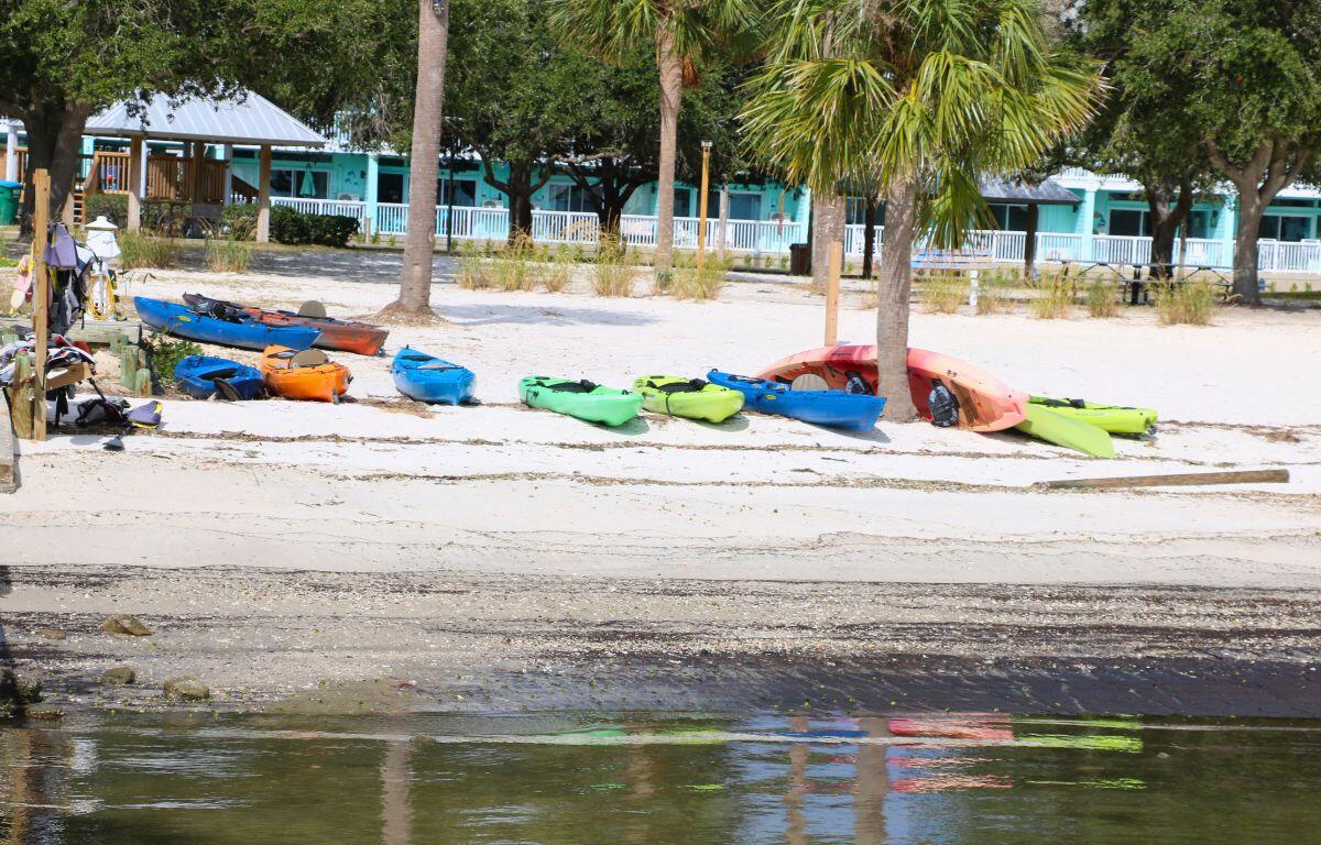 A shoreline leads to a sandy beach area with kayaks further up on the sand surrounded by palm trees of varying heights. A blue building with a white railing stands in the background.