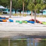 A shoreline leads to a sandy beach area with kayaks further up on the sand surrounded by palm trees of varying heights. A blue building with a white railing stands in the background.