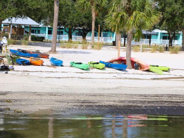 A shoreline leads to a sandy beach area with kayaks further up on the sand surrounded by palm trees of varying heights. A blue building with a white railing stands in the background.
