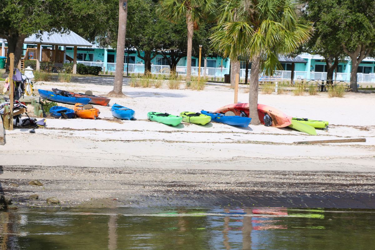 A shoreline leads to a sandy beach area with kayaks further up on the sand surrounded by palm trees of varying heights. A blue building with a white railing stands in the background.