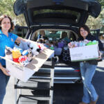 Employees of the Lake County Clerk's Office load donated stuffed animals for delivery to the Haven of Lake and Sumter Counties.