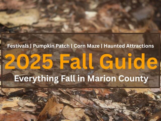 Leaves in various shades of yellow and orange lie on a dirt ground in the background. The foreground of the image has white and yellow text reading, "Festivals | Pumpkin Patch | Corn Maze | Haunted Attraction. 2025 Fall Guide. Everything Fall in Marion County."