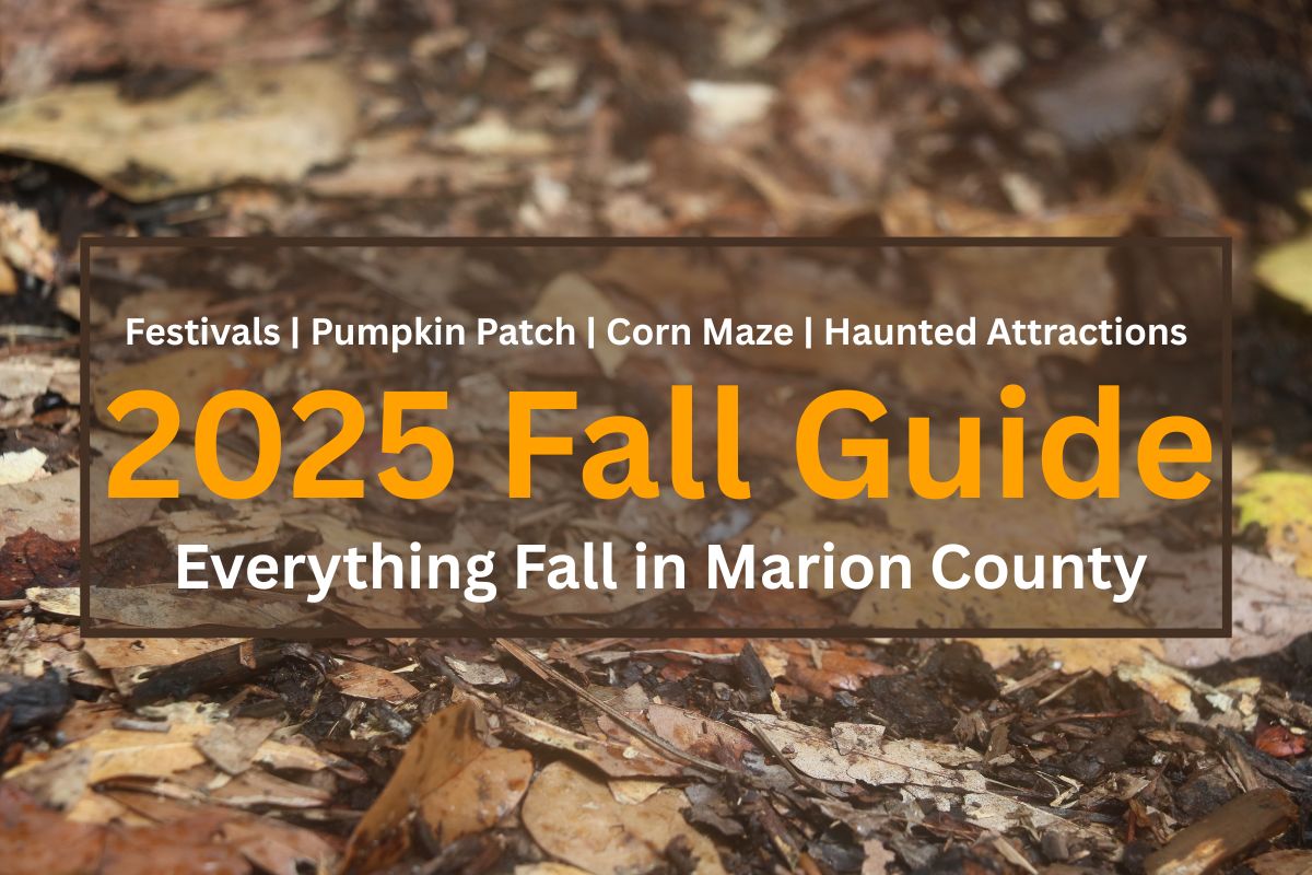 Leaves in various shades of yellow and orange lie on a dirt ground in the background. The foreground of the image has white and yellow text reading, "Festivals | Pumpkin Patch | Corn Maze | Haunted Attraction. 2025 Fall Guide. Everything Fall in Marion County."