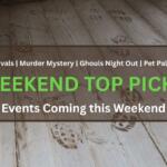Watery footprints leave stains on a wood floor. The foreground has white and green text reading, "Festivals | Murder Mystery | Ghouls Night Out | Pet Palooza," "WEEKEND TOP PICKS" and "Events Coming this Weekend."