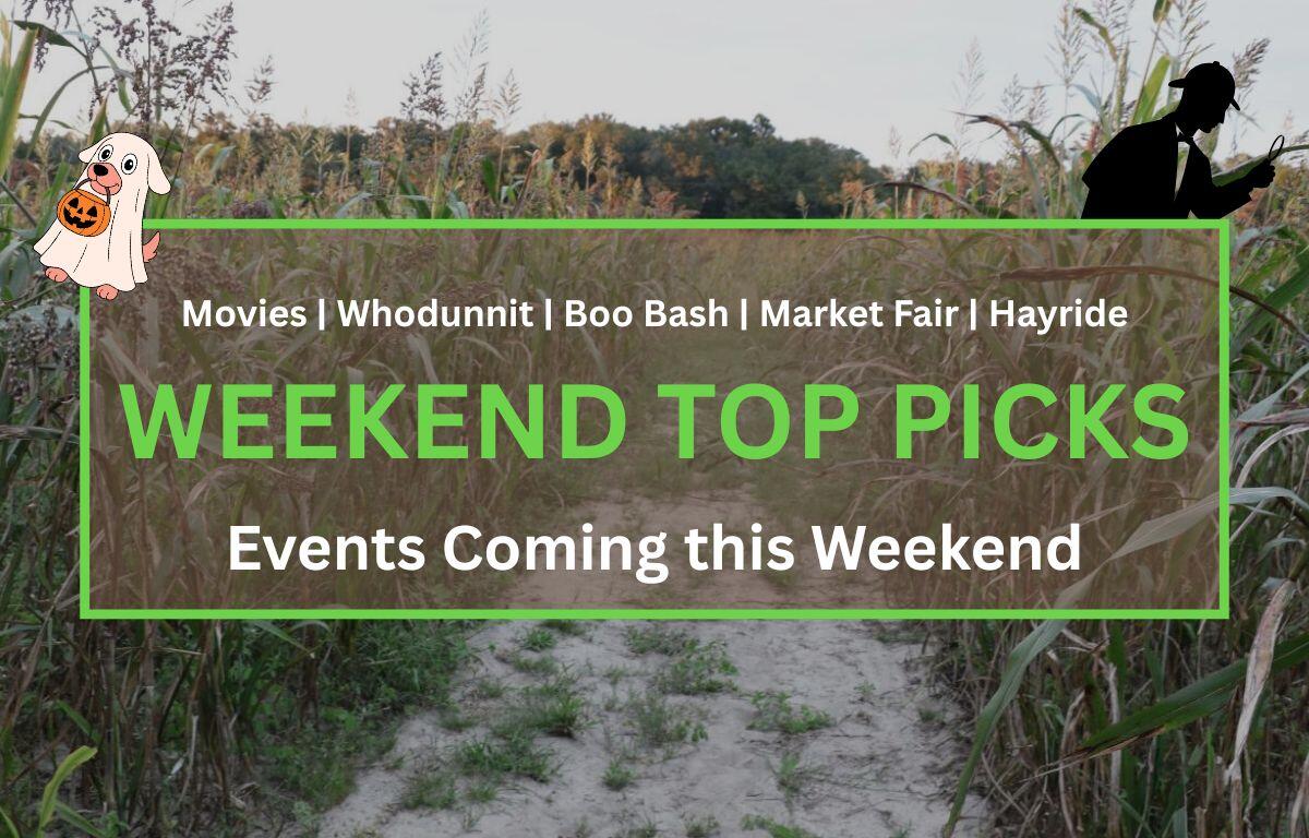A corn maze under a setting sun is in the background. Text in the front reads, "Movies | Whodunnit | Boo Bash | Hayride. Weekend Top Picks. Everything Coming this Weekend."