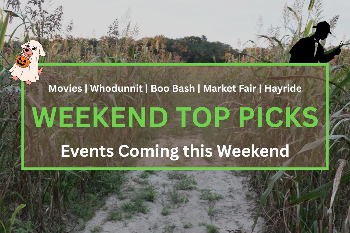 A corn maze under a setting sun is in the background. Text in the front reads, "Movies | Whodunnit | Boo Bash | Hayride. Weekend Top Picks. Everything Coming this Weekend."
