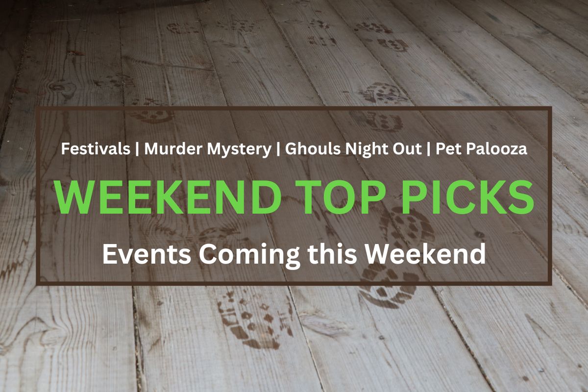 Watery footprints leave stains on a wood floor. The foreground has white and green text reading, "Festivals | Murder Mystery | Ghouls Night Out | Pet Palooza," "WEEKEND TOP PICKS" and "Events Coming this Weekend."