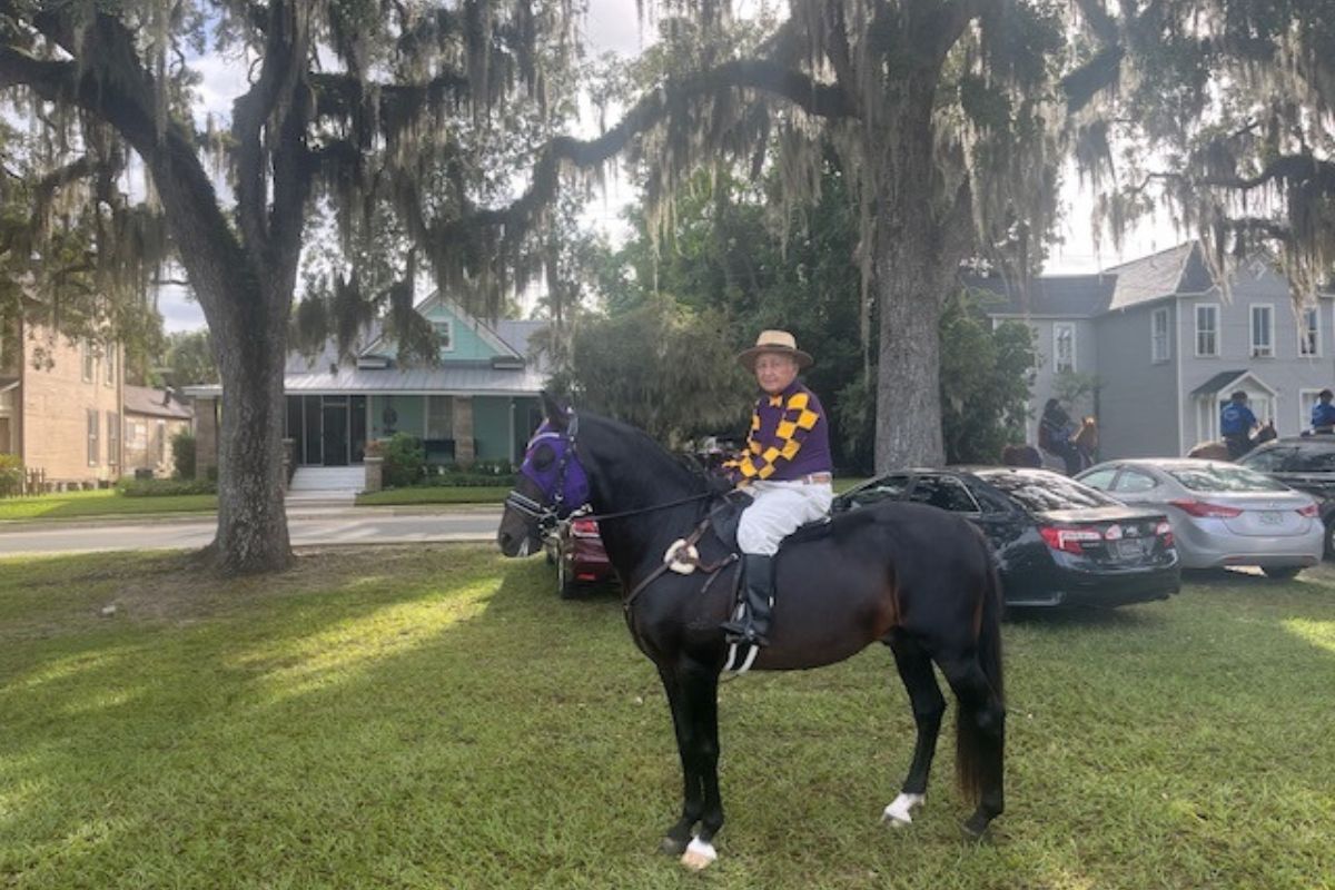 To the left a live oak tree with Spanish moss hanging down, in the center more trees, and to the right people and vehicles. In the background on the left a brick building and in the far background homes. In the foreground to the left and right there is grass and a horse, with a rider on it.