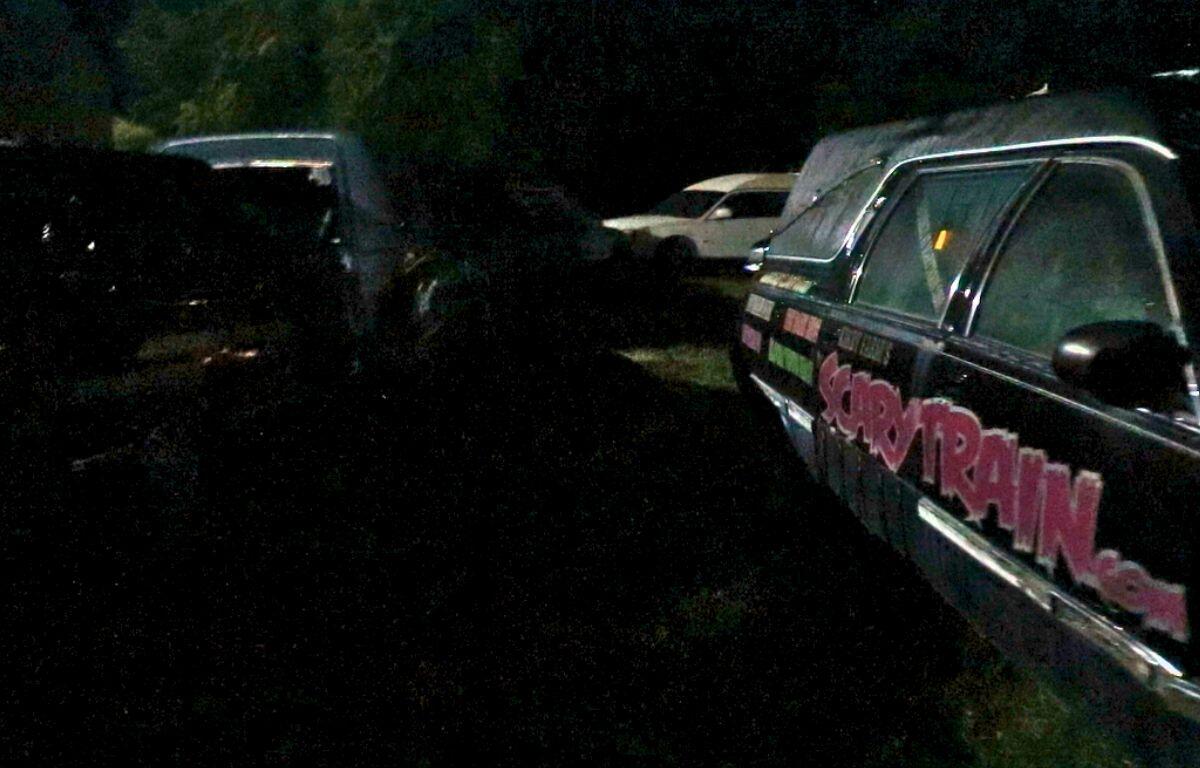 White, black and gray hearses are lined up in a dark maze with minimal lighting. In the background is a dark forest. On the closest hearse, "ScaryTrain.com" is written in bold red letters.