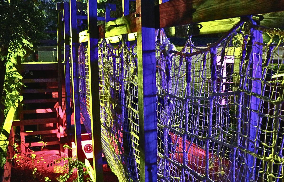 Wood beams hold up a long rope bridge with multicolored lights illuminating the area. Wooden stairs stand to the left leading toward the top of the ropes.