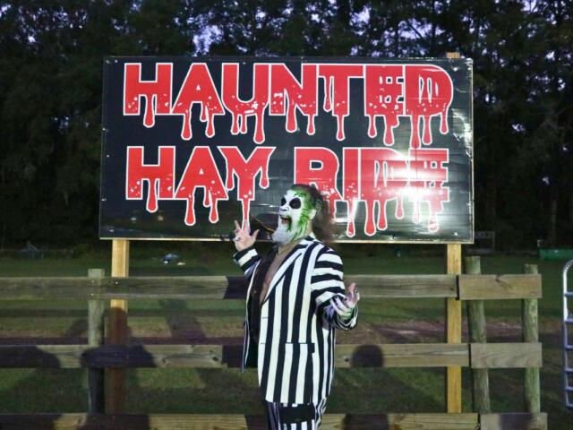An actor dressed as the character, Beetlejuice, poses in front of a sign reading, "Haunted Hay Ride" in red, dripping font posted on a wooden fence.