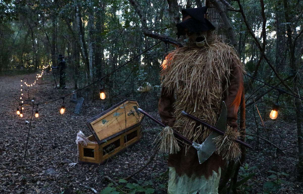 A forest has lights strewn along a path. A scarecrow with a scythe and coffin decoration stand along the path creating an eerie atmosphere.