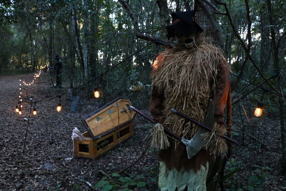 A forest has lights strewn along a path. A scarecrow with a scythe and coffin decoration stand along the path creating an eerie atmosphere.