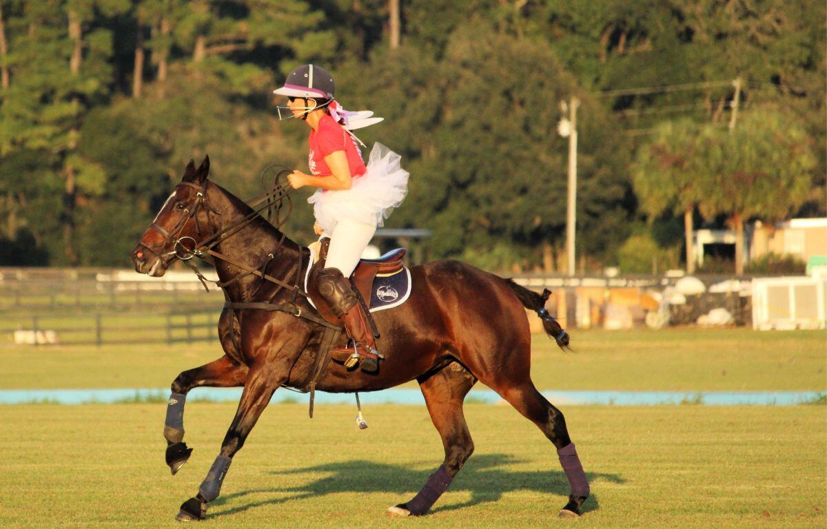 A woman riding a horse in a Halloween costume with wings. In the background, a tree line, lights equipment, blue sideboards, grass field, and in the foreground grass.
