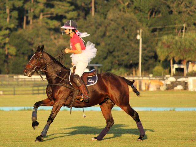 A woman riding a horse in a Halloween costume with wings. In the background, a tree line, lights equipment, blue sideboards, grass field, and in the foreground grass.