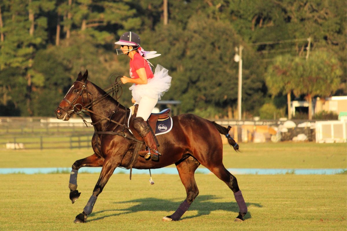 A woman riding a horse in a Halloween costume with wings. In the background, a tree line, lights equipment, blue sideboards, grass field, and in the foreground grass.