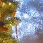 A Christmas tree with bright string lights, a bear ornament and other decorations is reflected in a window with rain falling against it.