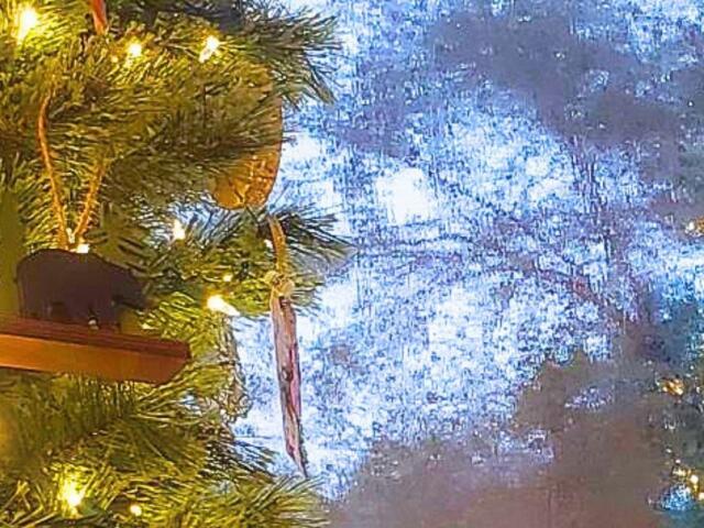 A Christmas tree with bright string lights, a bear ornament and other decorations is reflected in a window with rain falling against it.