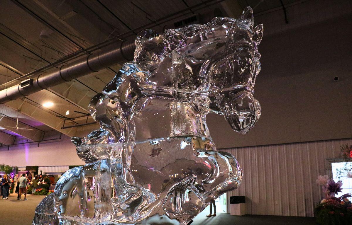 An ice sculpture of a horse standing on its hind legs in a dark, indoor venue.