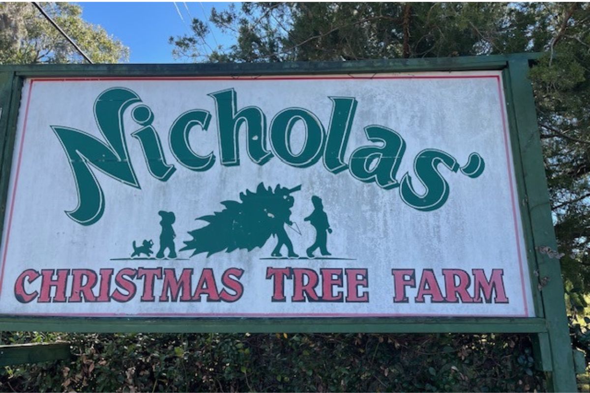 A sign with lettering of different fonts and sizes, with an image, with a tree line in the background.
