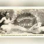 Vintage promotional image advertising Weeki Wachee Springs Park.