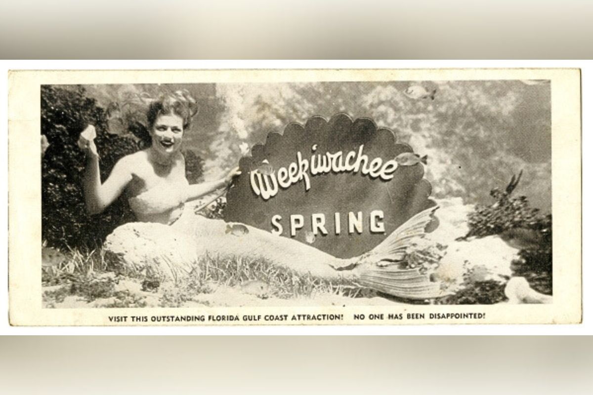 Vintage promotional image advertising Weeki Wachee Springs Park.