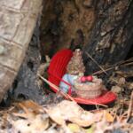 A small gnome figurine sits in a small opening at the base of a tree with leaves surrounding it.