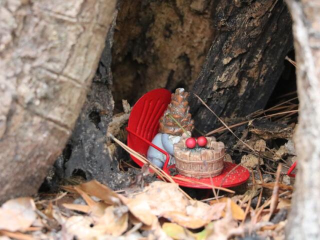 A small gnome figurine sits in a small opening at the base of a tree with leaves surrounding it.