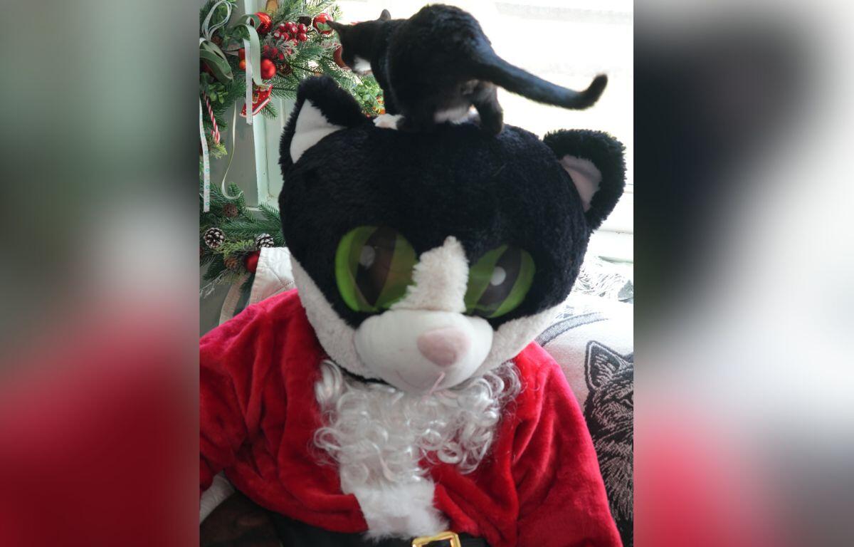 A small black cat sits on top of the head of a mascot cat in Santa suit.