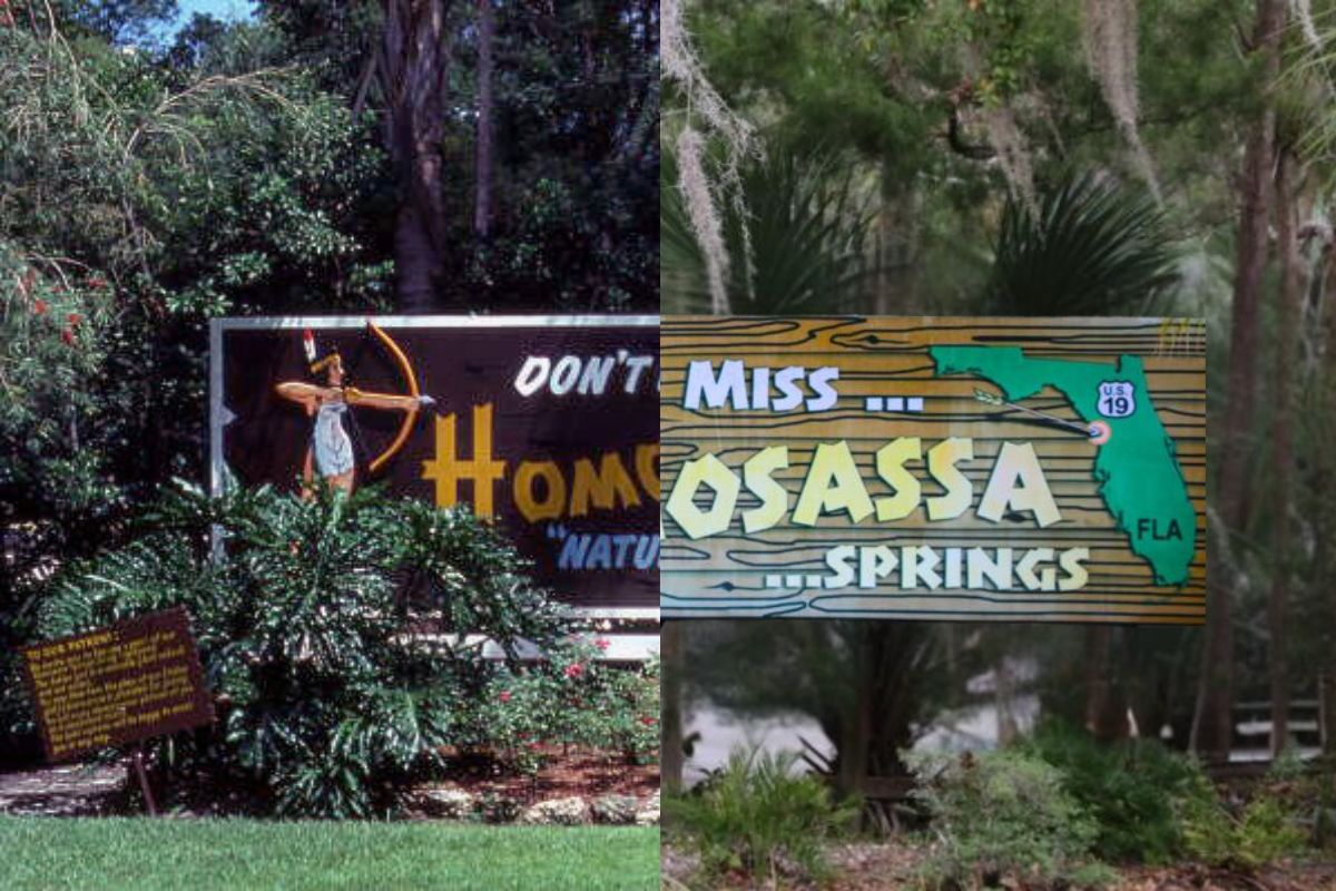 A split-screen photograph comparing the old Homosassa Springs sign (left) with the new Homosassa Springs sign (right). Foliage and trees surround the sign on both ends.