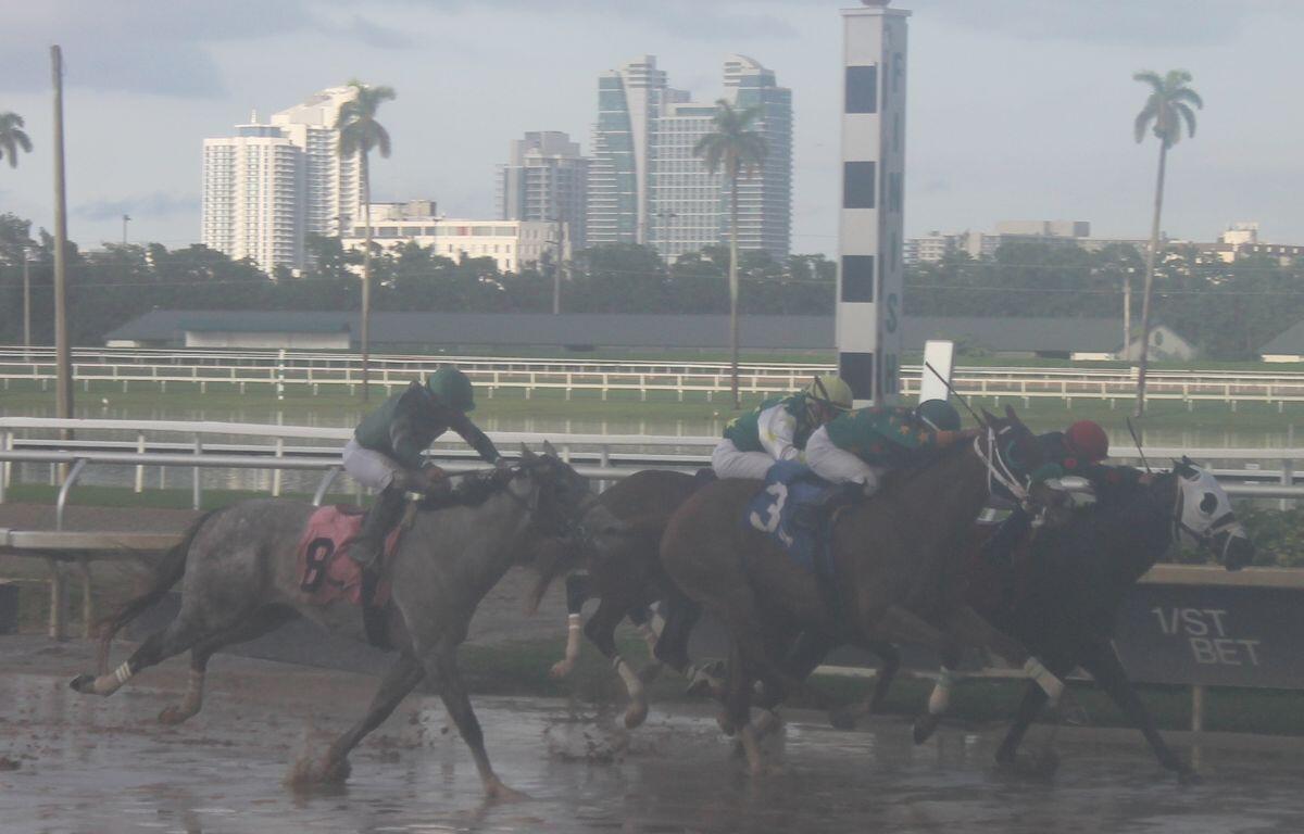 Buildings, palms, racetrack rail system, green space, in the background, large half mile pole, horses racing in the rain over the dirt.