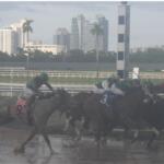 Buildings, palms, racetrack rail system, green space, in the background, large half mile pole, horses racing in the rain over the dirt.
