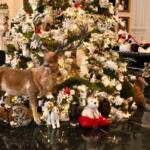 Close-up of a decorated Christmas tree filed with ornaments, plush animals and festive lights.