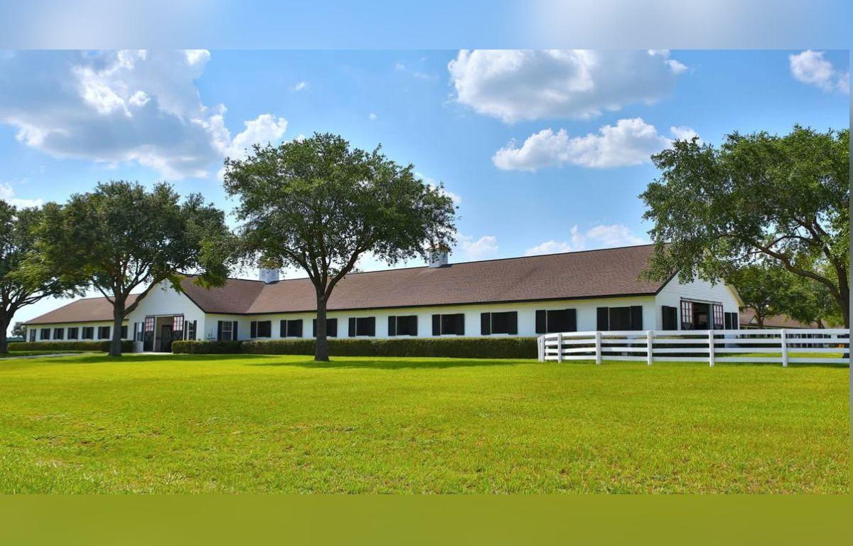 In the foreground, grass, to the left and right trees, and in the background a barn.